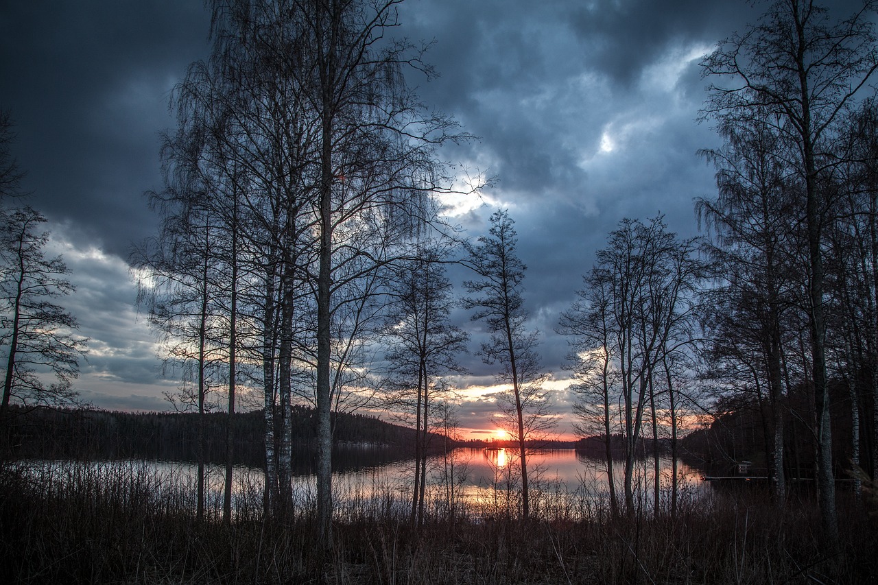 Mastering the Art of Painting Trees in Front Light